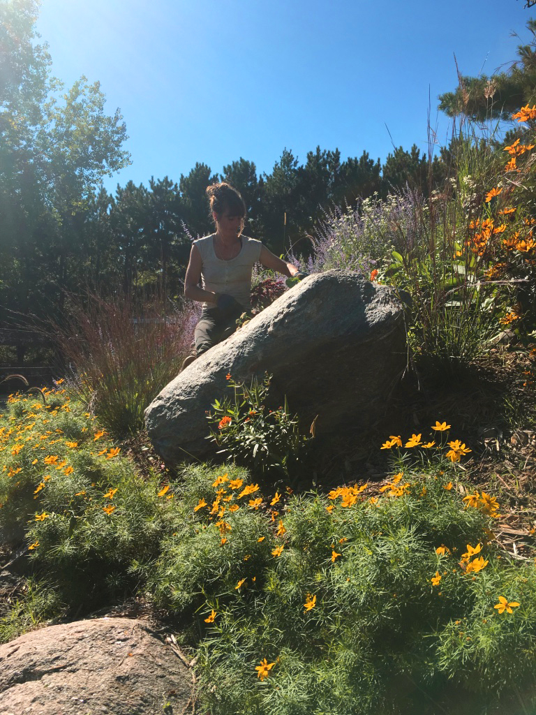 A landscaper weeding plants with sustainability techniques amidst blooming orange, yellow, and purple flowers and large boulders.