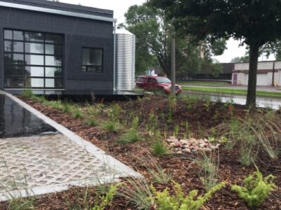 A newly planted plants in the rain garden of an industrial building on a rainy grey day.