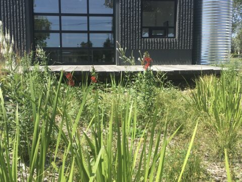 A black building in an industrial architectural style with cardinal flowers and grasses in the foreground.