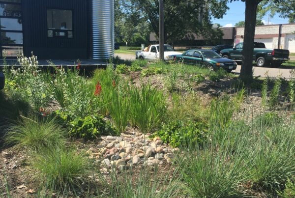 A black building in an industrial architectural style with a rain garden full of plants in the foreground.