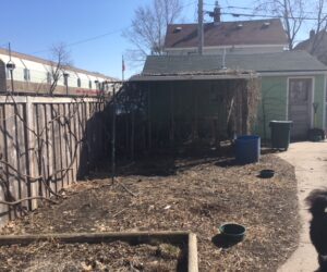 A barren back yard with no grass or plants. A shed, fence, and concrete path run through the yard.