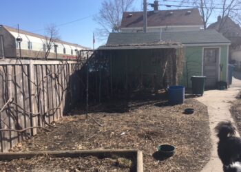 A barren back yard with no grass or plants. A shed, fence, and concrete path run through the yard.