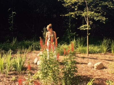 A landscaper standing behind blooming red Cardinal Flowers in a wetland on a sunny afternoon.