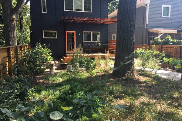 A fenced backyard with a large oak tree in front of a modern black house with a natural wood patio leading to a rustic fire pit.A fenced backyard with a large oak tree in front of a modern black house with a natural wood patio leading to a rustic fire pit.