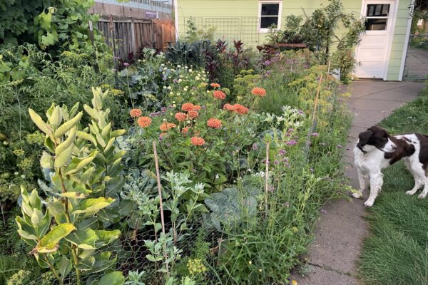 annual flower+edible+Townes