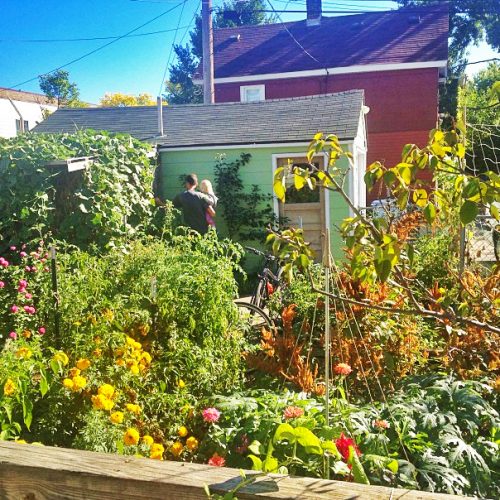 A man and a child next to a shed in a back yard with filled with numerous pink, yellow, and orange flowers and vegetables on a very sunny summer day.