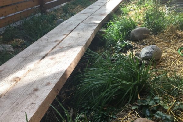 A natural wood boardwalk suspended above a rain garden with rocky boulders, against a wooden fence.