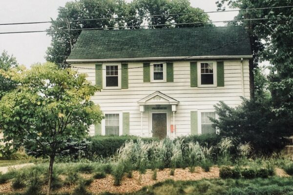 A variety of clumped grasses on a mulch mound surrounded by a textured grass lawn in front of a white home with green shutters.