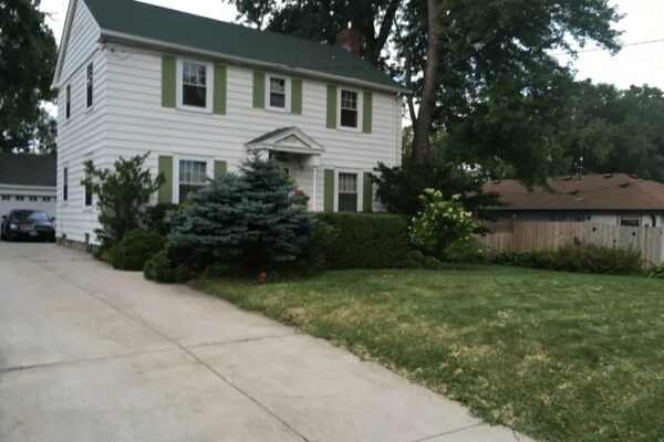 A short grass lawn next to a driveway in front of a white house with green shutters and trimmed hedges near the front door.