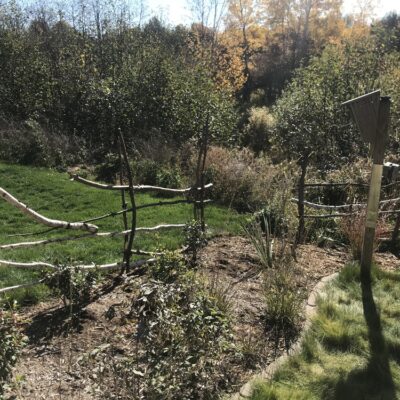 Lush textural grasses, a bird feeder, and shrubs in front of a rustic fence overlooking a wooded wetland.