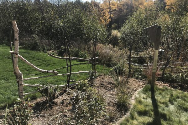 Lush textural grasses, a bird feeder, and shrubs in front of a rustic fence overlooking a wooded wetland.