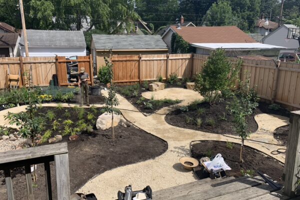 New curved paths, sod, and planted trees as seen from the wooden deck in the backyard oasis.