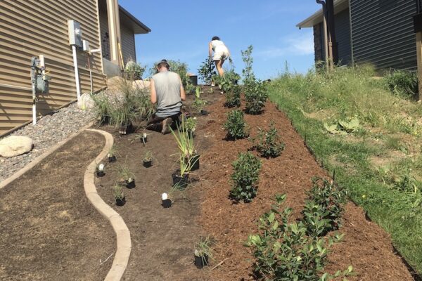 Two landscaping crew members planting new plants in the backyard of a beige suburban home.