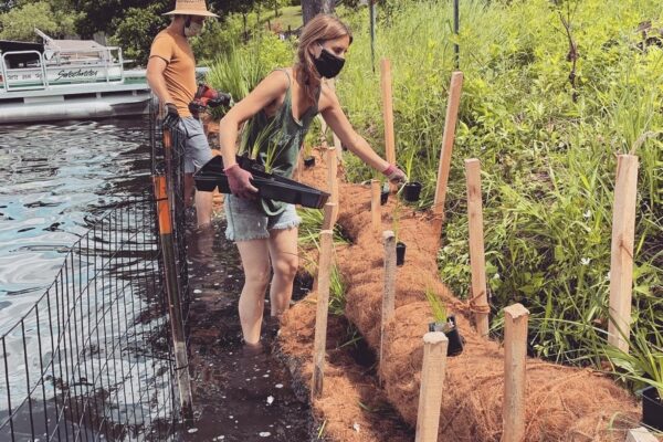 Two landscape crew members installing wooden stakes into coir logs from the water of Lake McCarrons against the sloped shoreline.