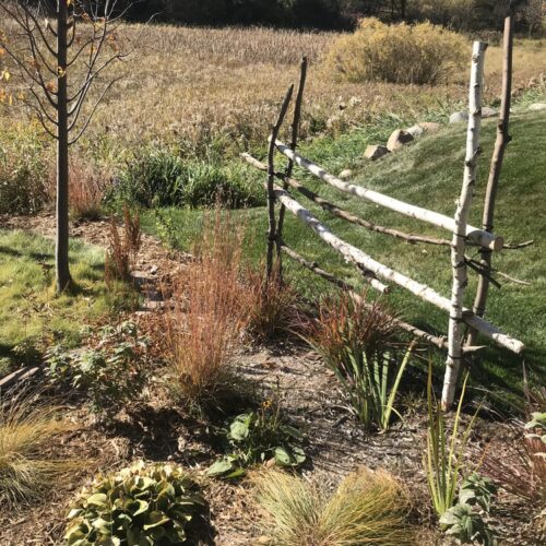 A rustic wooden backyard fence overlooking a wetland in the fall.