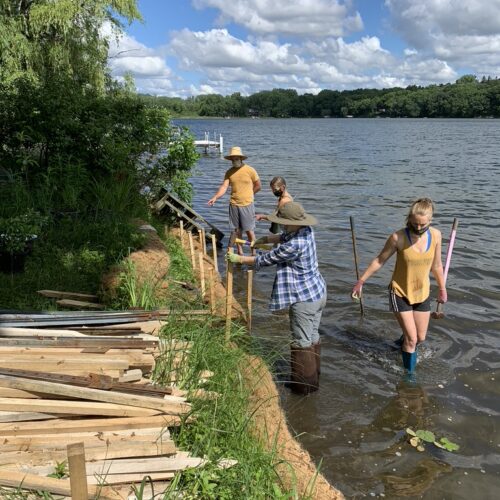 Four landscape crew members standing in the water the Lake McCarrons shoreline installing spikes along coir logs for stabilization.