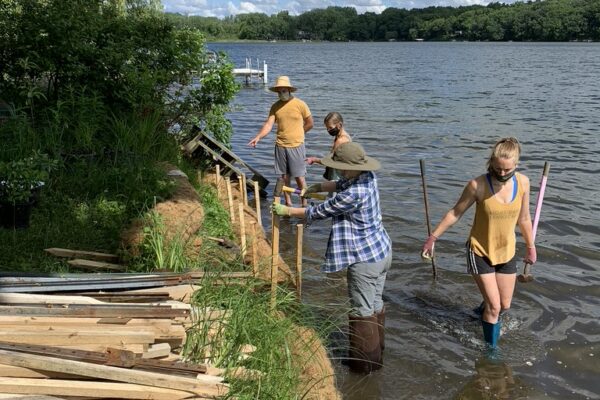 Four landscape crew members standing in the water the Lake McCarrons shoreline installing spikes along coir logs for stabilization.