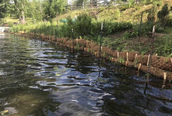 Stabilization efforts with coir logs, wooden stakes, and a fence to prevent erosion along a steeply sloped lakefront.