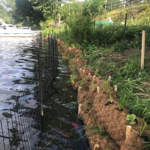 Stabilization efforts with coir logs, wooden stakes, and a fence to prevent erosion along a steeply sloped lakefront.