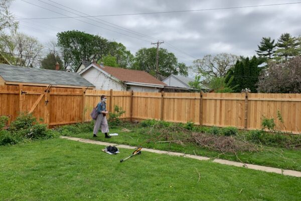 A landscape designer examining a plain backyard lawn lined with shrubs and a wooden fence.