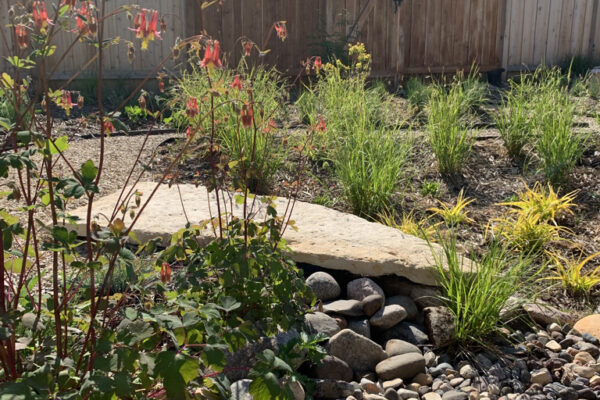 A triangular flat stone jutting out into a rocky dry creek next to blooming red flowers and grasses.