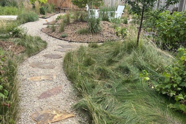 A natural stone path curving through textured grass and trees to a seating area in the backyard oasis.