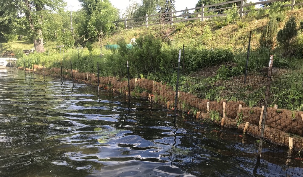 Stabilization efforts with coir logs, wooden stakes, and a fence to prevent erosion along a steeply sloped lakefront.