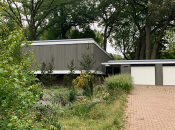 Textured grasses, blooming perennials, and short conifers next to a paved driveway in front of a grey and white mid-century modern home.