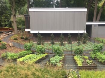 A curved row of metal garden beds for vegetables in front of a grey mid-century modern home.