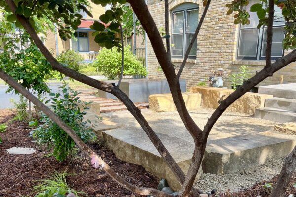 The sunken limestone patio viewed through the freshly pruned trunk of a sculptural smokebush shrub in the Milwaukee Avenue neighborhood of Minneapolis.