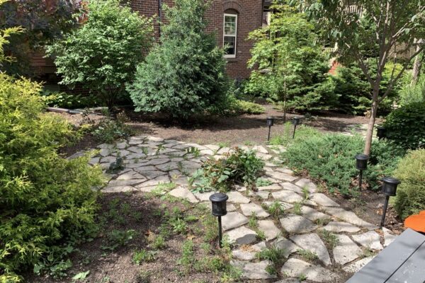 A wide buff-colored flagstone path leads from house and winds though the shrub garden, in places the path widens into a small patio.