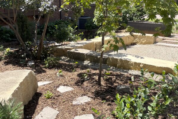 A limestone stepper path winds through a mulch bed planted with shade tolerant native species and a mature smokebush and Japanese Maple.