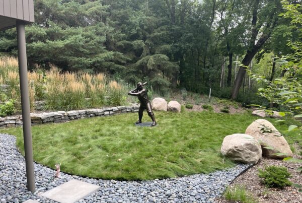 MENDOTA HEIGHTS MID CENTRY WOODLAND EDGE After Baseball Dimond with No Mow Lawn 1