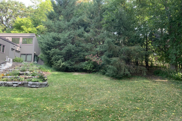 MENDOTA HEIGHTS MID-CENTRY WOODLAND EDGE_Before_Lackluster Lawn