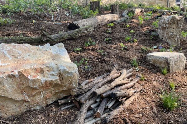 A newly planted woodland understory nestled within scattered limestone boulders, "fallen" logs, and other pollinator friendly habitat elements.