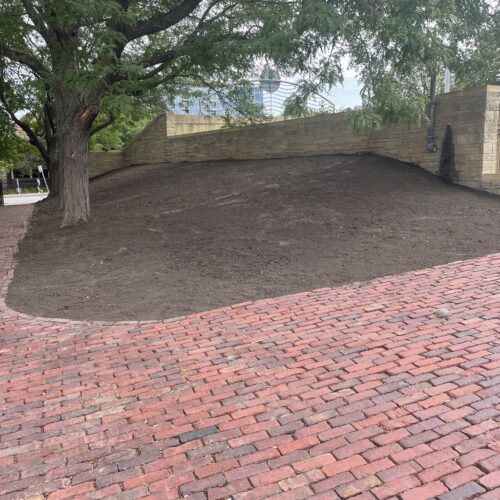 A steep slope of barren dry soil bounded by a block-long public walk and a tall retaining wall in a commercial pedestrian zone in the City of Minneapolis.