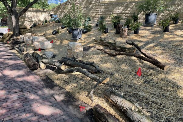 Limestone boulders, "fallen" logs, squat stumps and woody shrubs await final placement in the habitat garden.