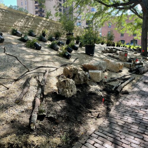 Dozens of limestone boulders and multiple piles of logs are lined up along the long and narrow planting strip, waiting to be installed in the urban pollinator garden.