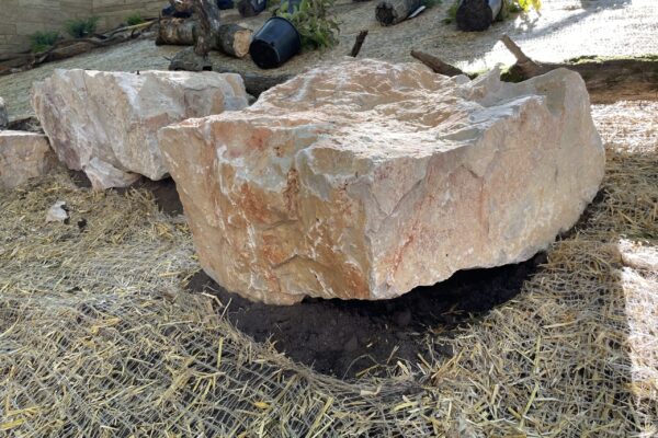 A large limestone boulder with a lifted edge, exposing the soil bellow, may provide dwelling habitat for crevice and soil nesting bee species.