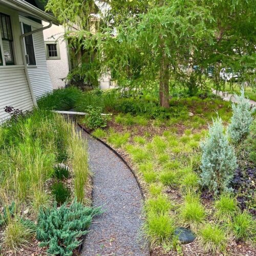 A narrow, curvilinear gravel path winds through a mix of native and non-native greenery in a small urban front yard in St. Paul Minnesota.