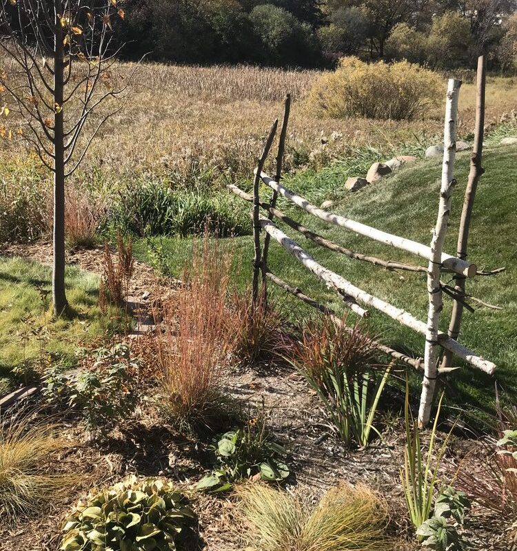 A rustic wooden backyard fence overlooking a wetland in the fall.