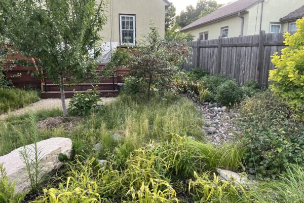 Drycreek and Rain garden Year 4