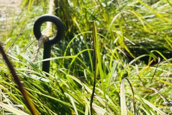 fence detail