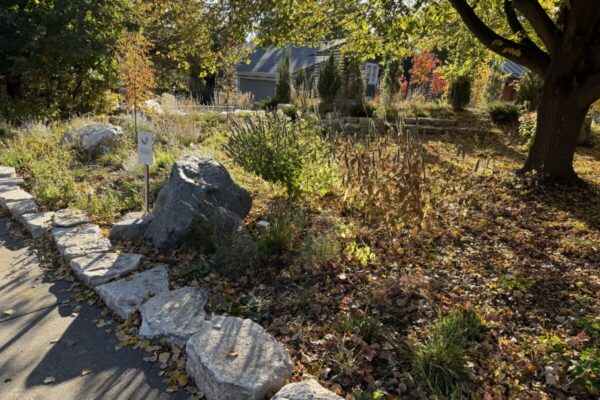 greattexturedavern fall