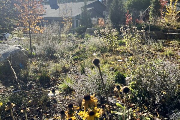 love this fall texture davern