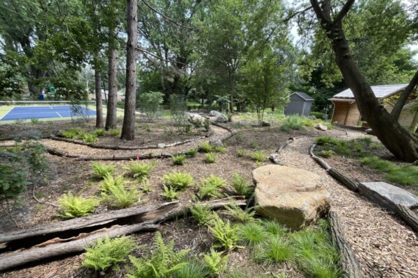 spring paths early install davern copy 2